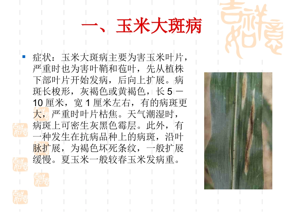 玉米病虫害及防治_第2页