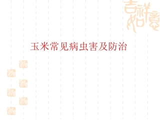 玉米病虫害及防治
