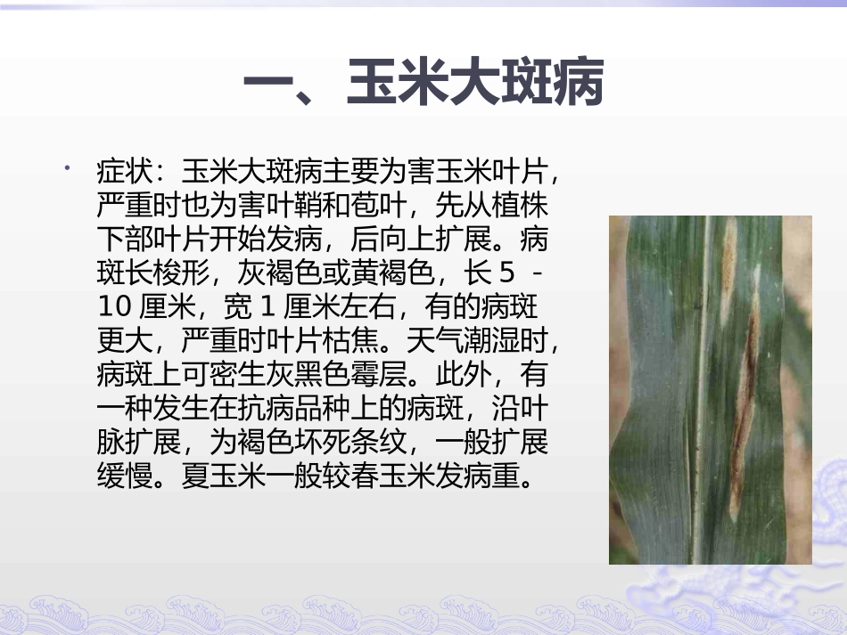 玉米病虫害防治_第2页