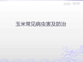 玉米病虫害防治