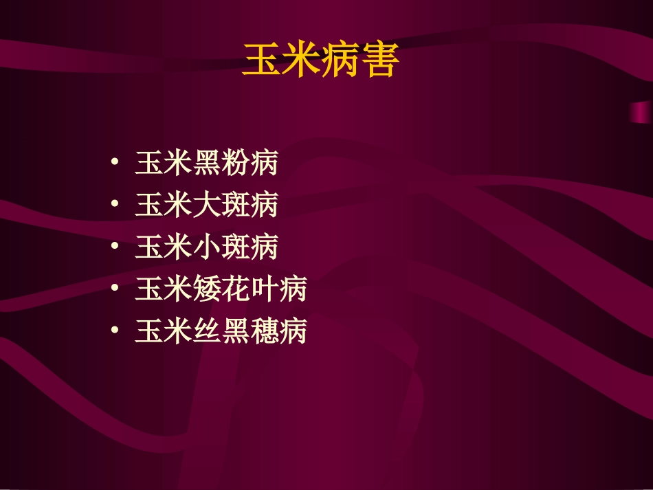玉米病虫害防治_第2页