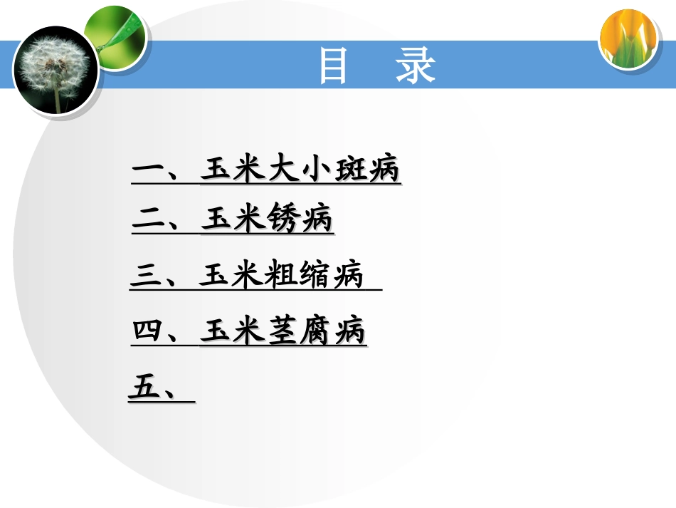 玉米主要病虫害及其防治_第2页