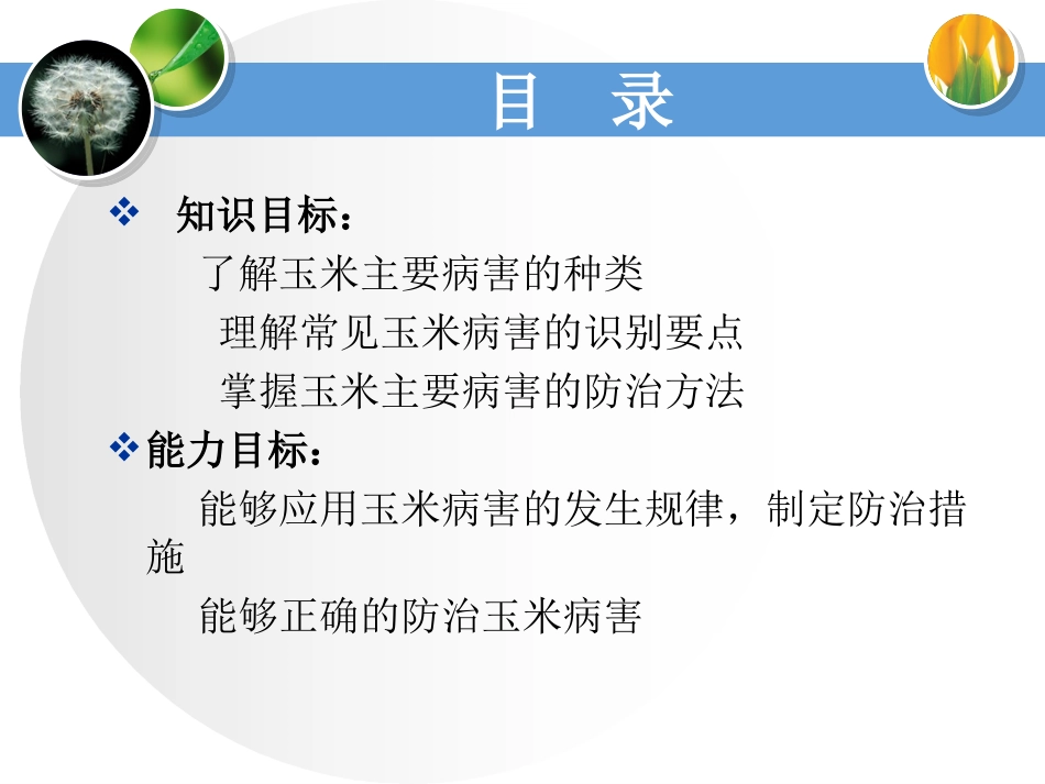 玉米主要病虫害及其防治_第3页