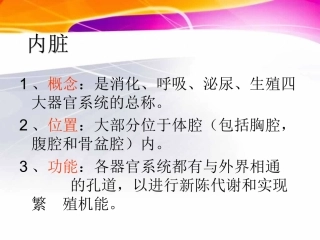猪的内脏消化系统