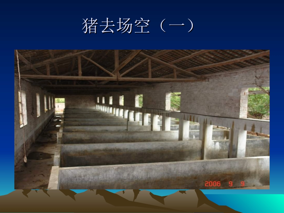 猪无名高热综合症的思考20073514934319_第2页
