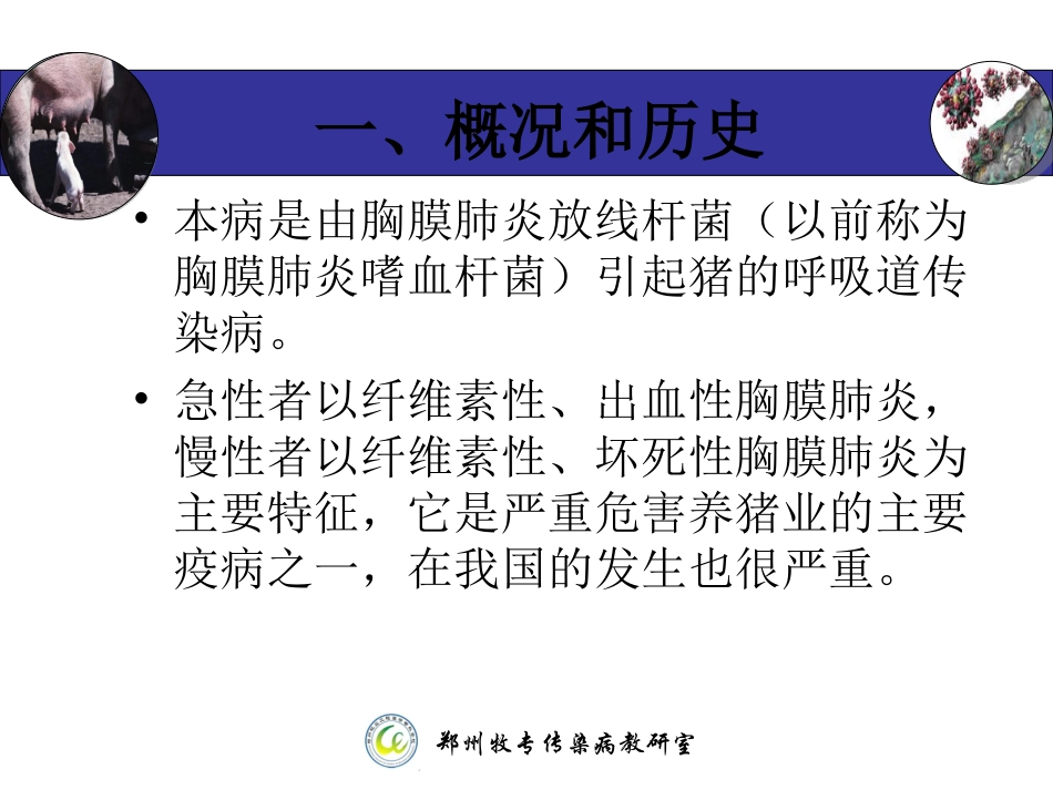 猪接触性传染性胸膜肺炎-(APP)_第3页