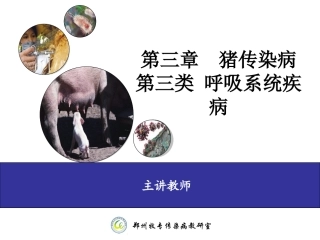 猪接触性传染性胸膜肺炎-(APP)
