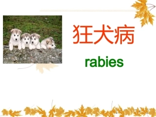狂犬病暴露后的处置