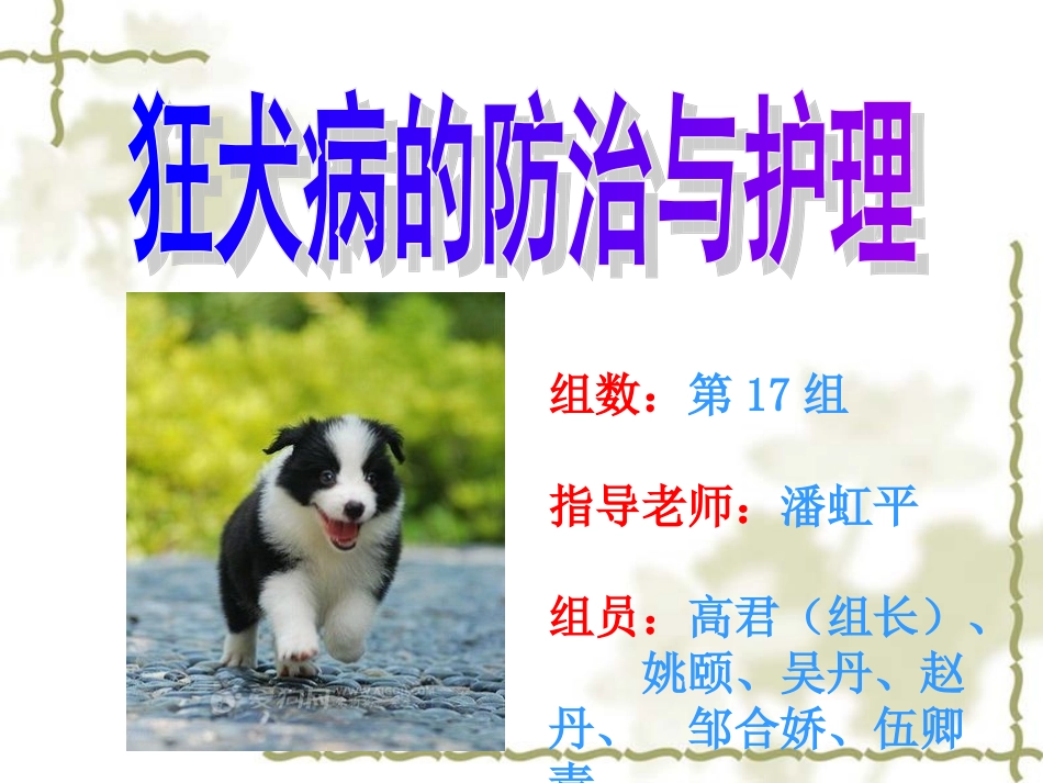 狂犬病(2)_第1页