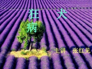 狂犬病.ppt