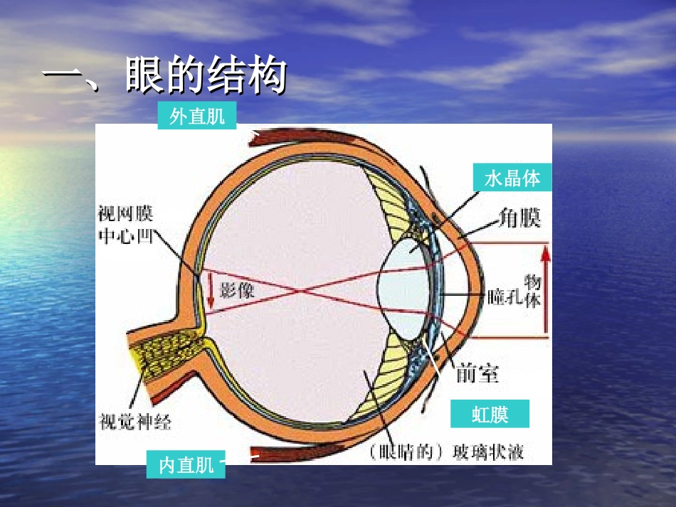 特殊儿童教育_第3页