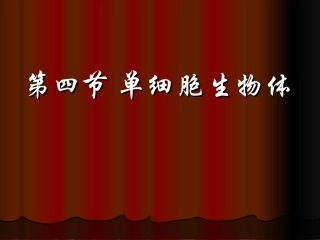 单细胞生物体课件