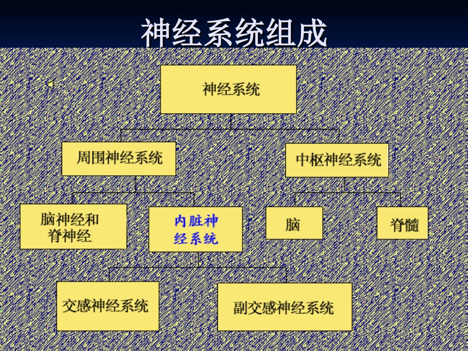 特发性面神经麻痹_第3页
