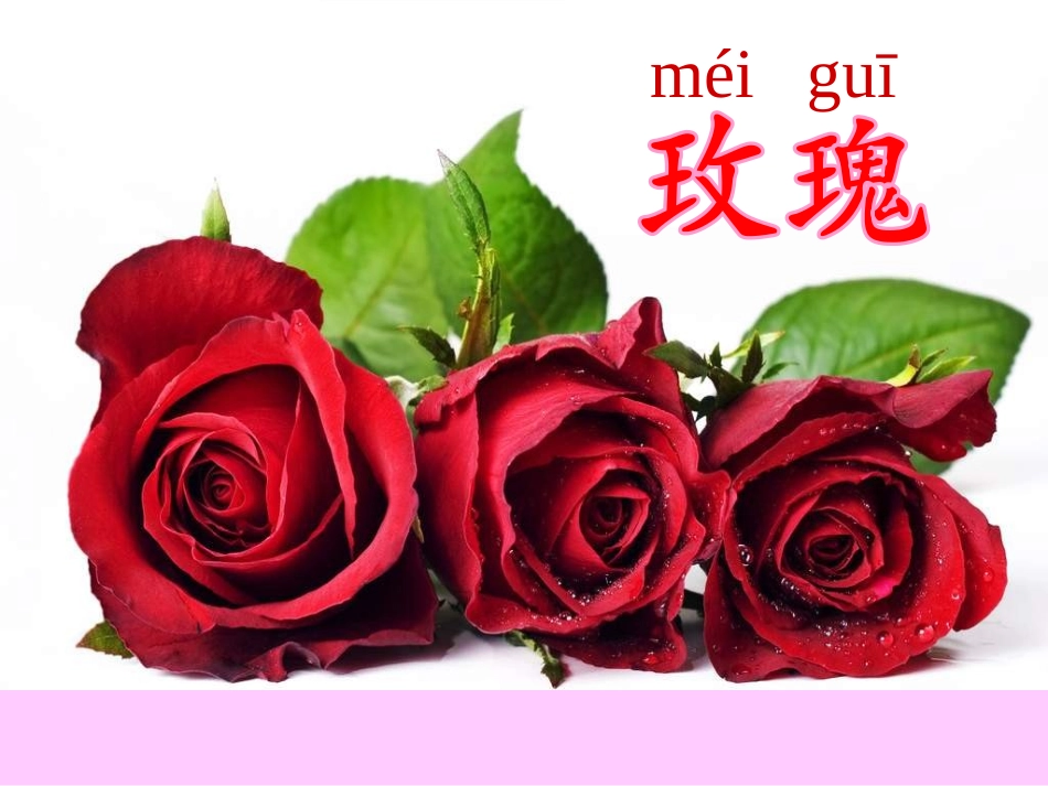 二年级上语文课件-一株紫丁香2人教新课标_第2页