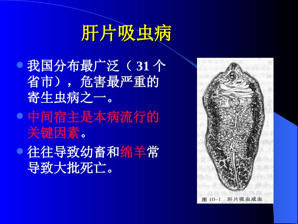 牛羊病寄生虫病1_第3页