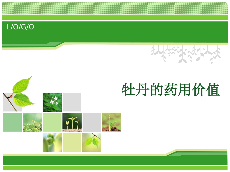 牡丹的药用价值_第1页