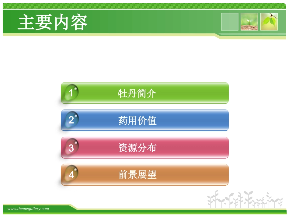 牡丹的药用价值_第2页
