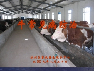 牛常见病防治