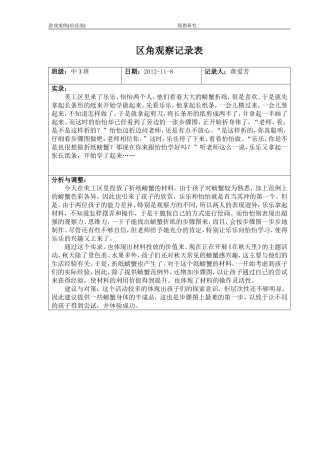 区角观察记录11月
