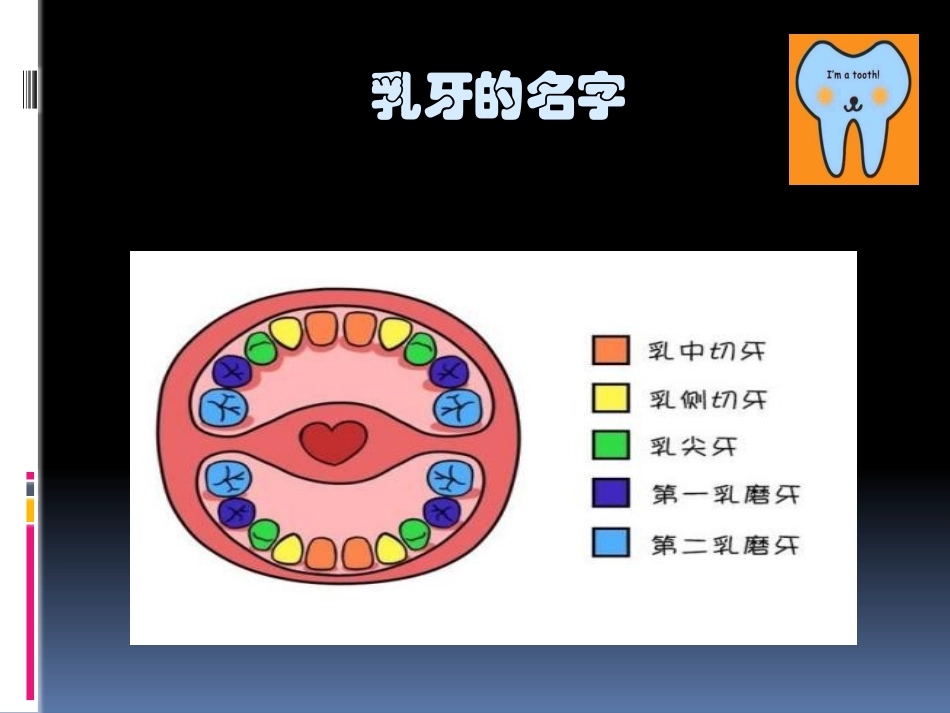 爱护牙齿-从现在做起_第3页