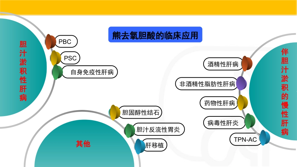 熊去氧胆酸对血糖的影响_第3页