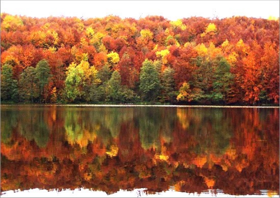 轴对称第一课时_第3页