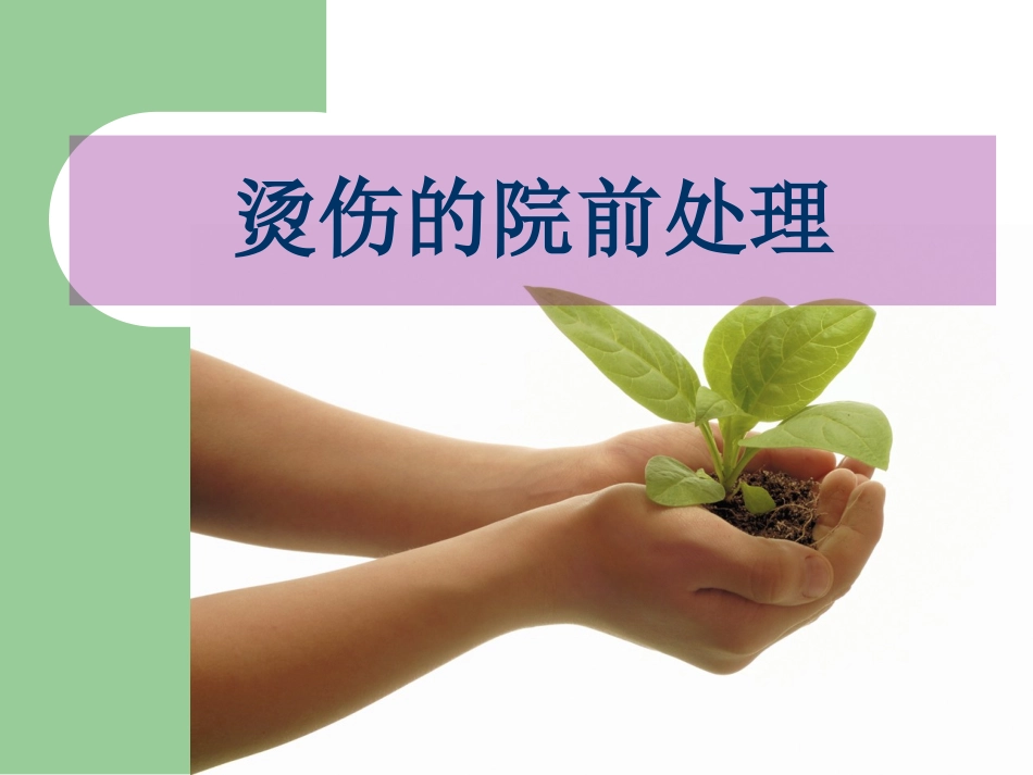 烫伤了-怎么办_第2页