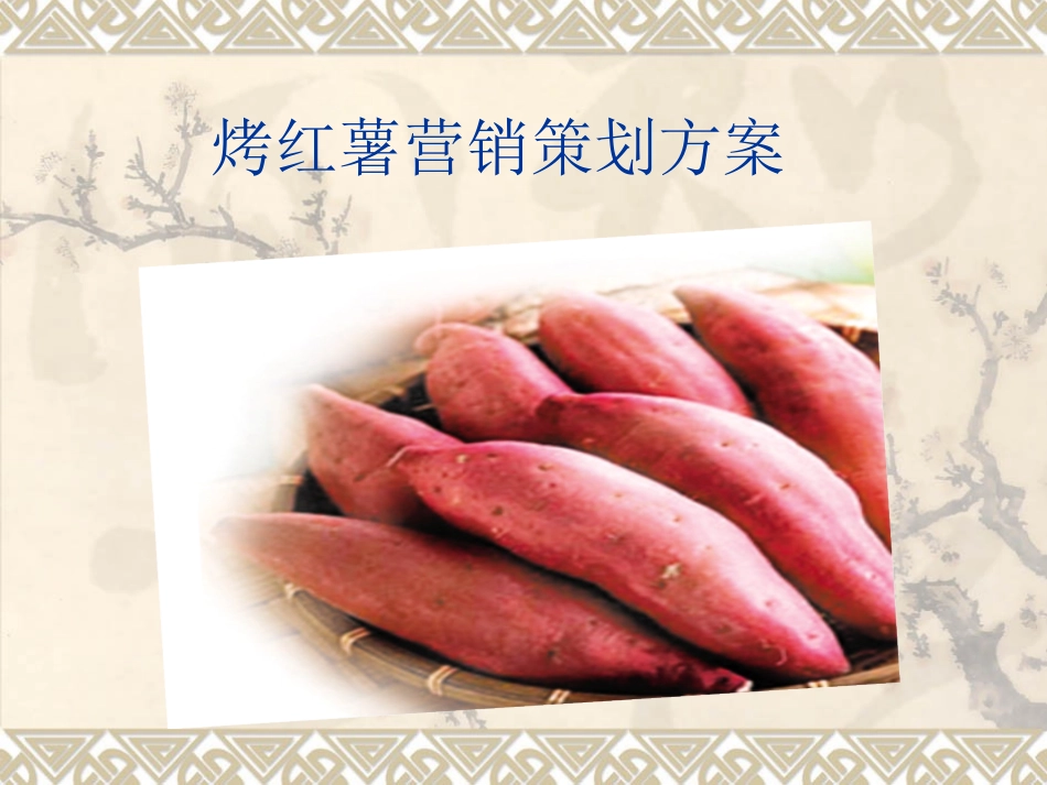 烤红薯营销策划方_第1页