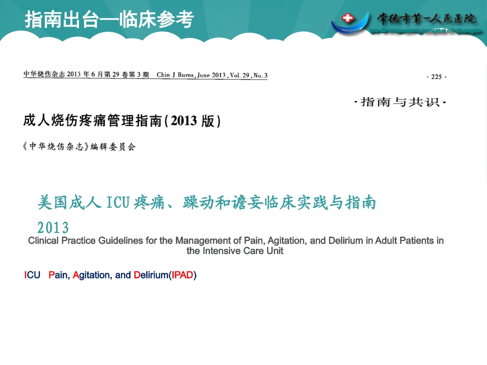 烧伤镇痛策略_第2页