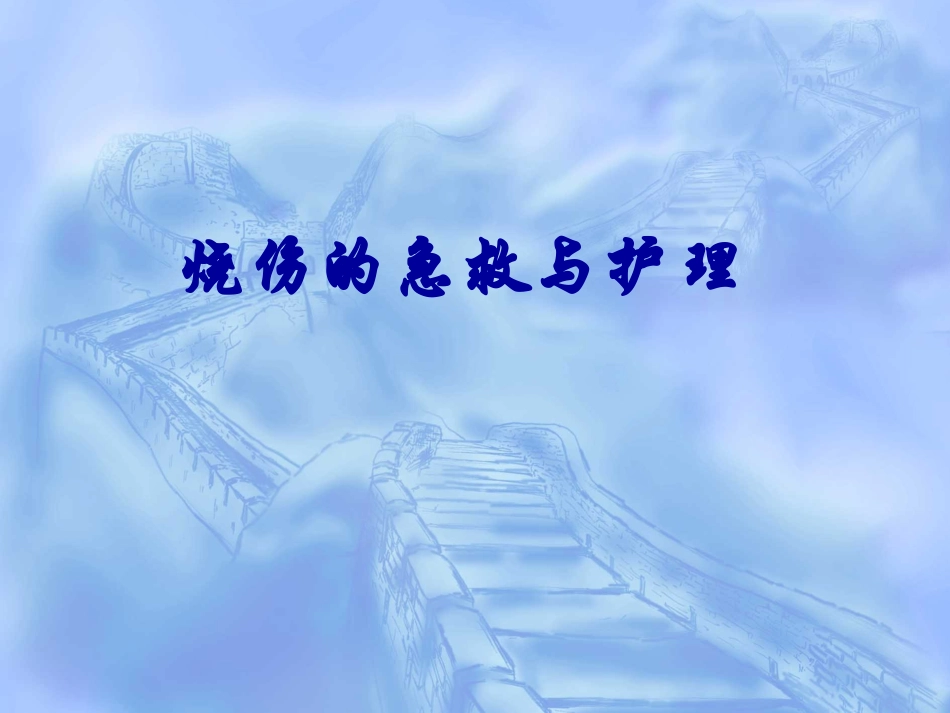 烧伤急救与创面处理(1)_第1页