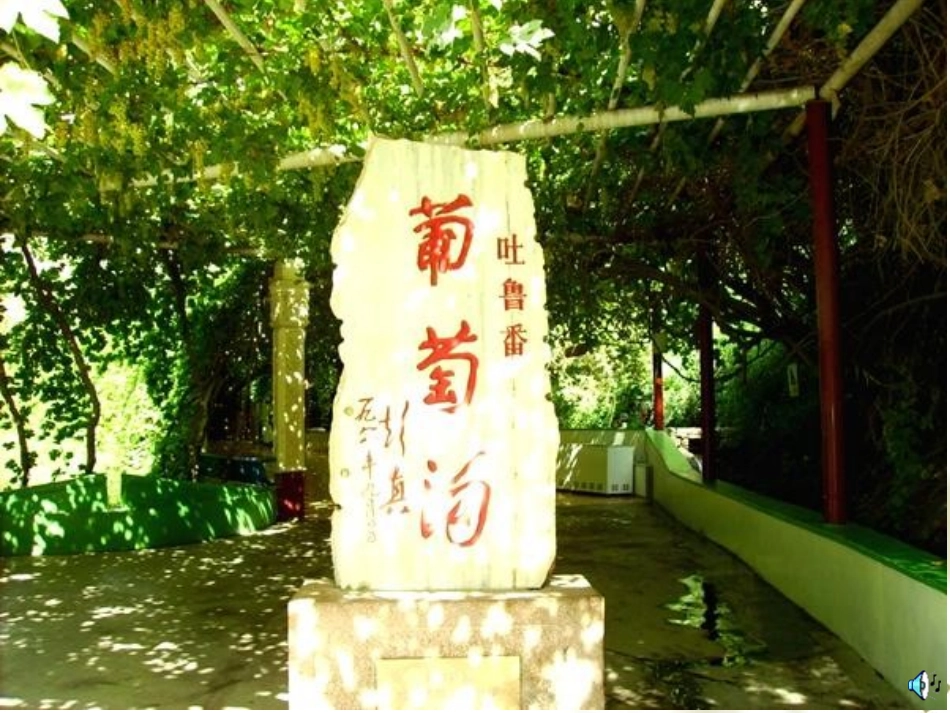 葡萄沟[3]_第2页