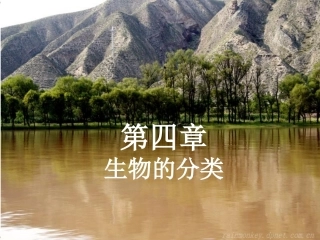 灵长目偶蹄目食肉目奇蹄目长鼻目利用检索表中特征的描述