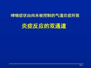 炎症反应双通道幻灯片