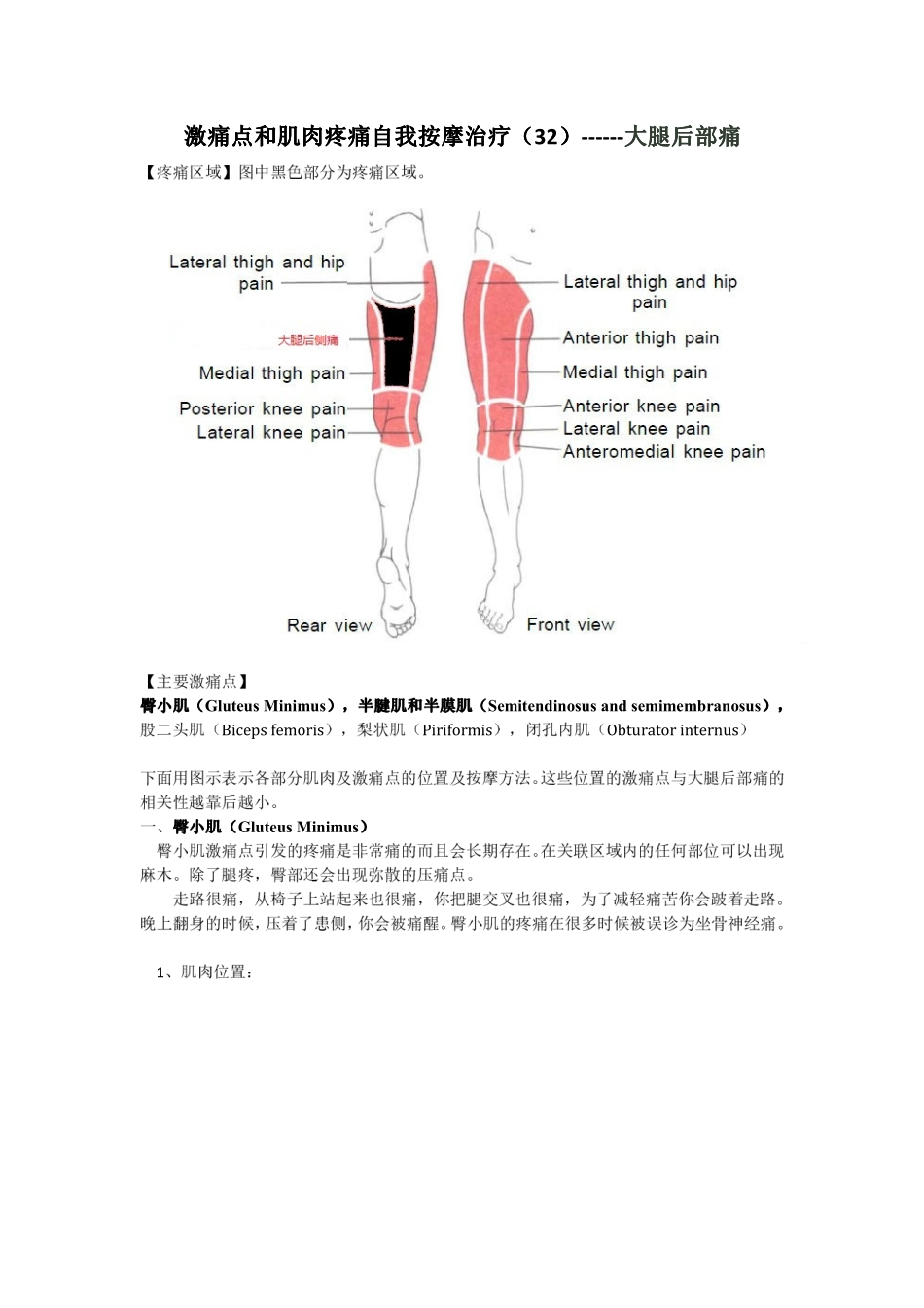 激痛点和肌肉疼痛自我按摩治疗(32)大腿后部痛_第1页