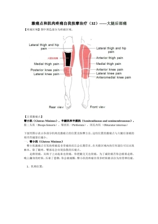 激痛点和肌肉疼痛自我按摩治疗(32)大腿后部痛