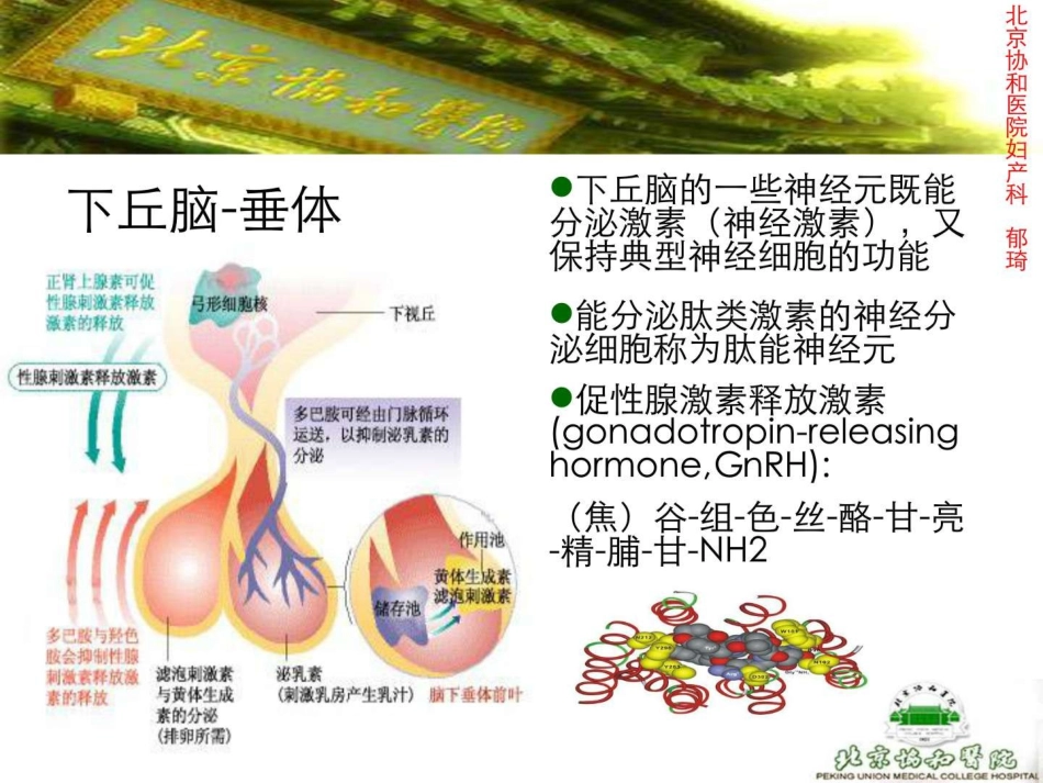 激素测定与妇科内分泌-北京协和郁琦汇总_第3页