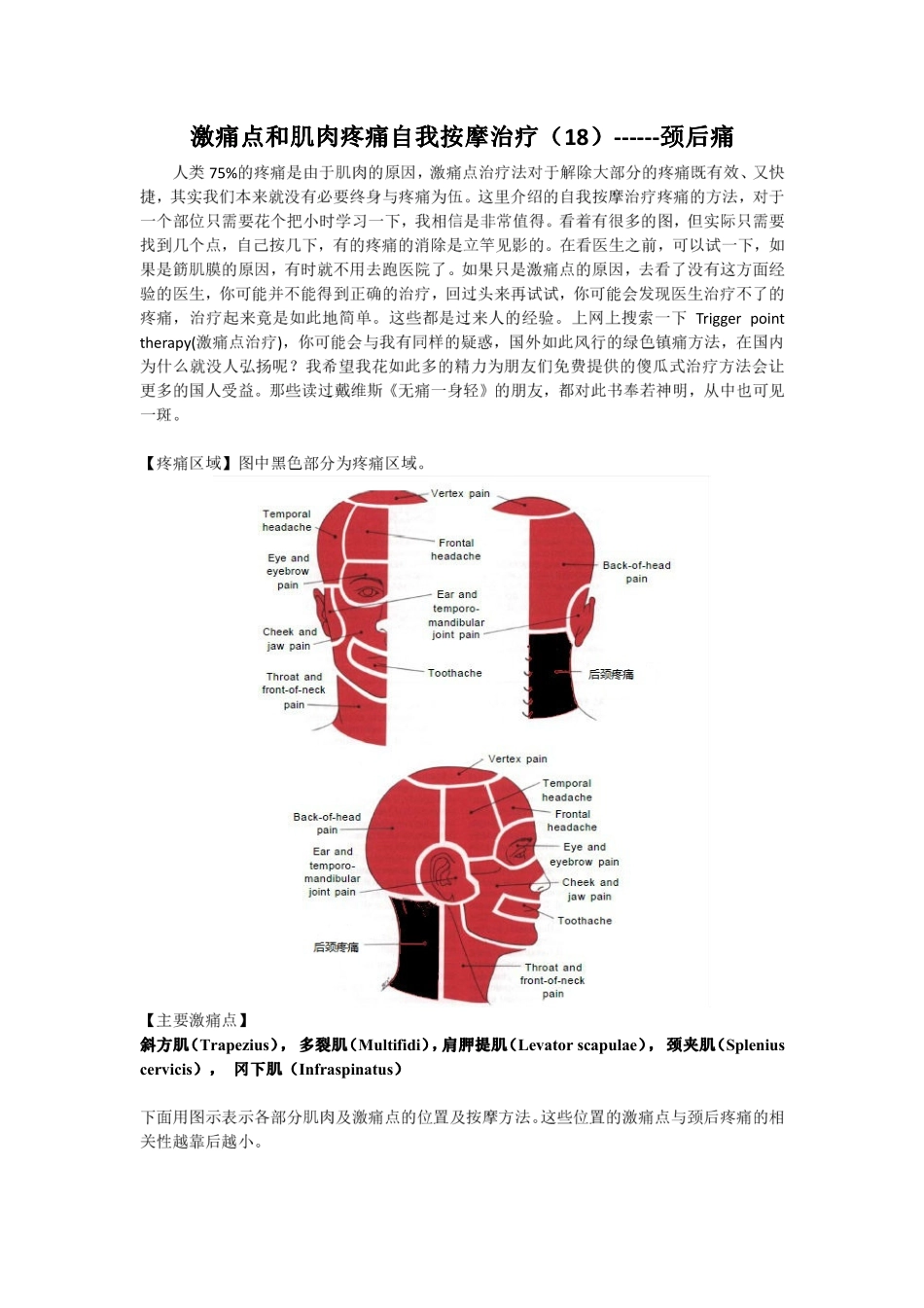 激痛点和肌肉疼痛自我按摩治疗(18)颈后痛_第1页