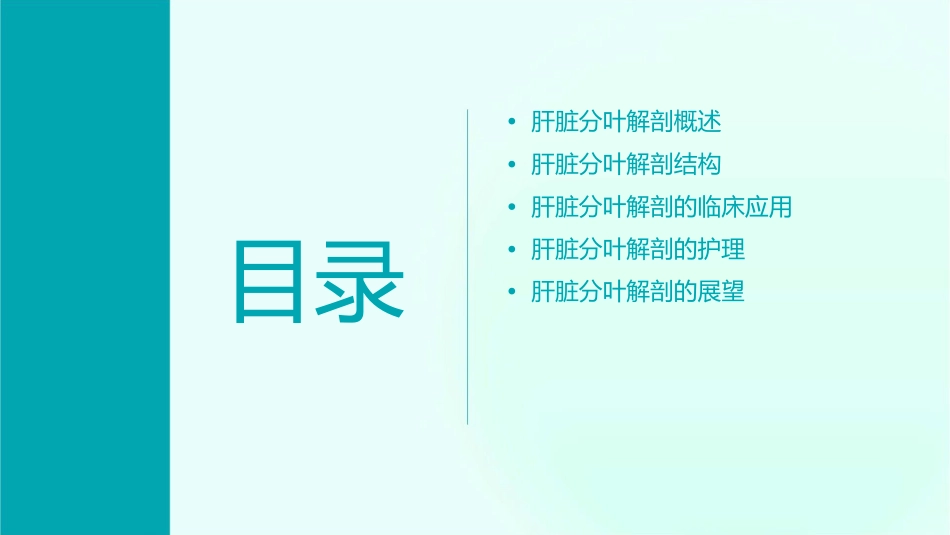 肝脏分叶解剖护理课件_第2页