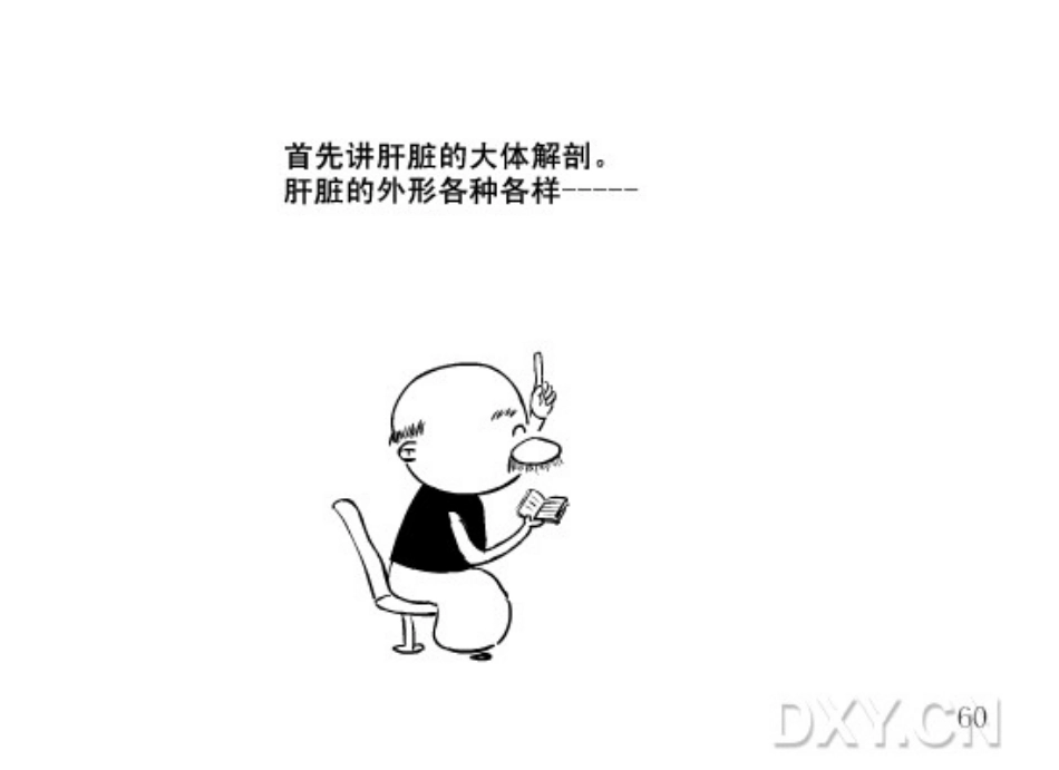 漫画肝脏解剖——肝脏解剖_第2页