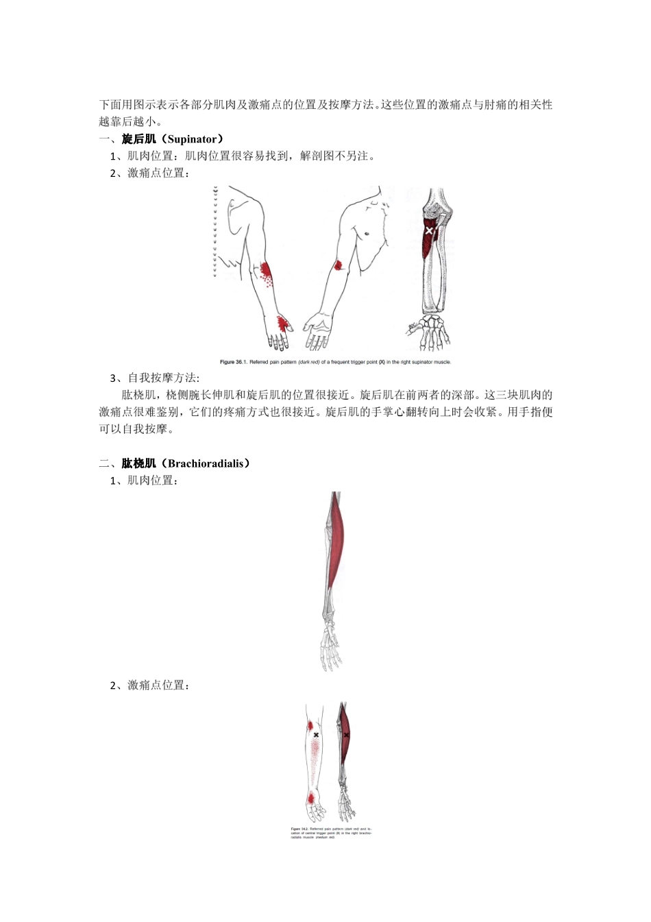 激痛点和肌肉疼痛自我按摩治疗(12)肘痛_第2页