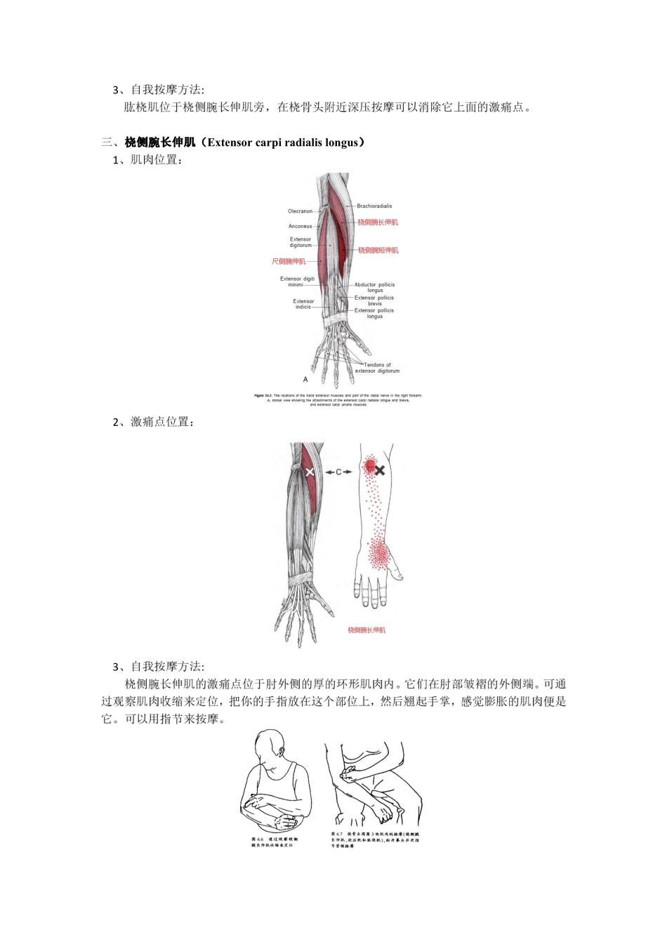 激痛点和肌肉疼痛自我按摩治疗(12)肘痛_第3页