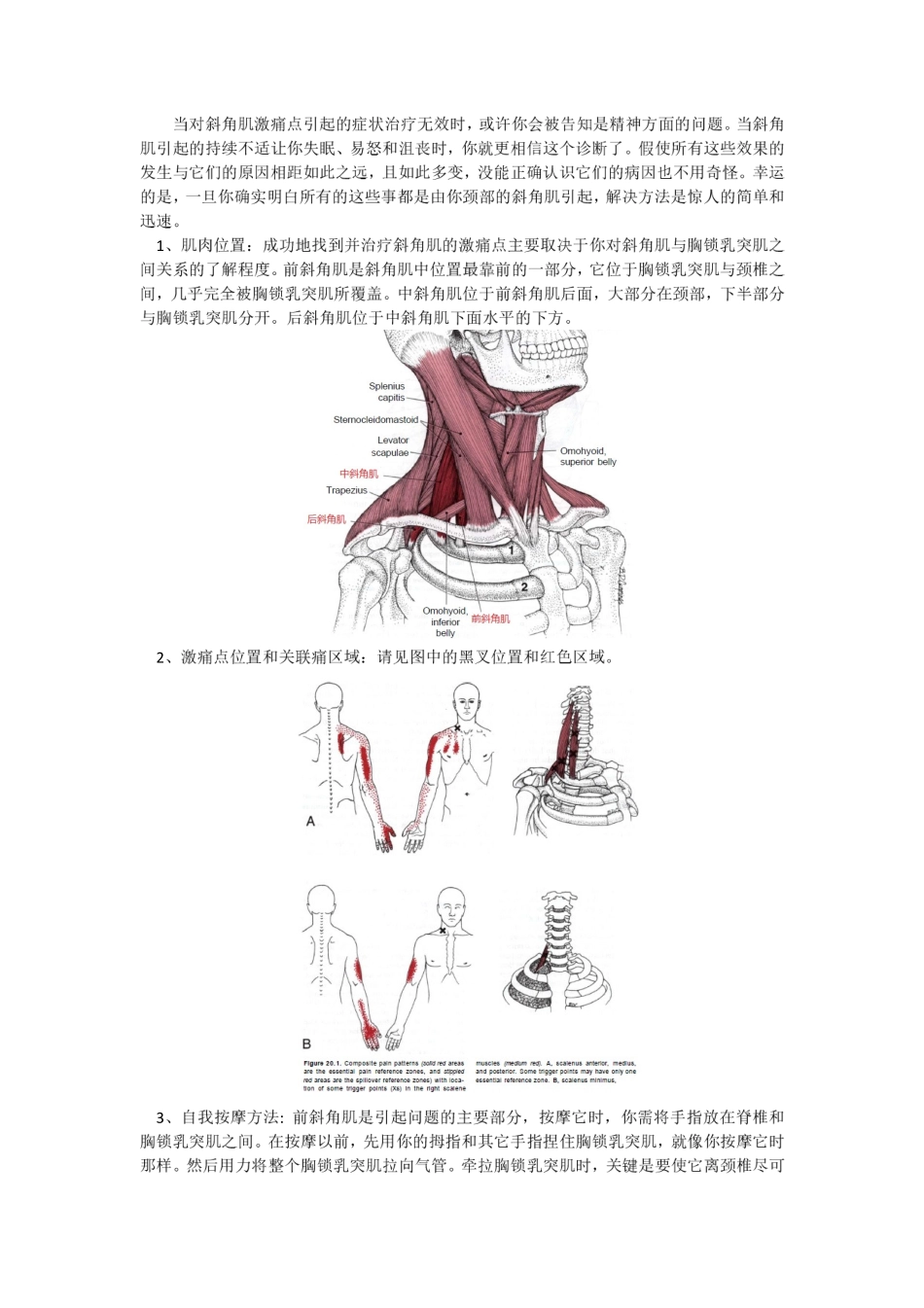 激痛点和肌肉疼痛自我按摩治疗(10)——上背部疼痛_第2页