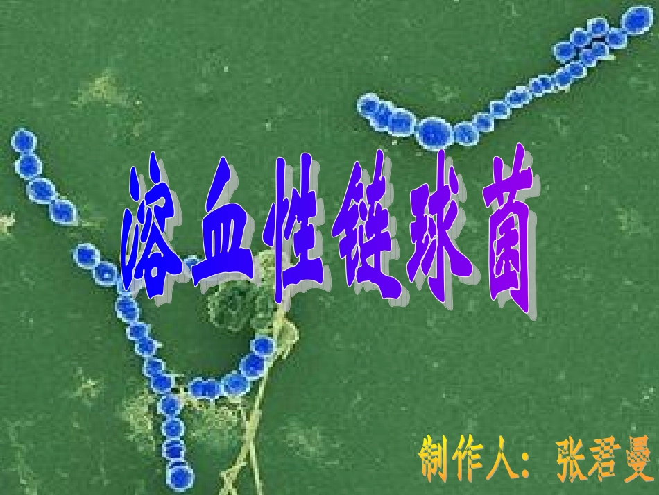 溶血性链球菌_第1页