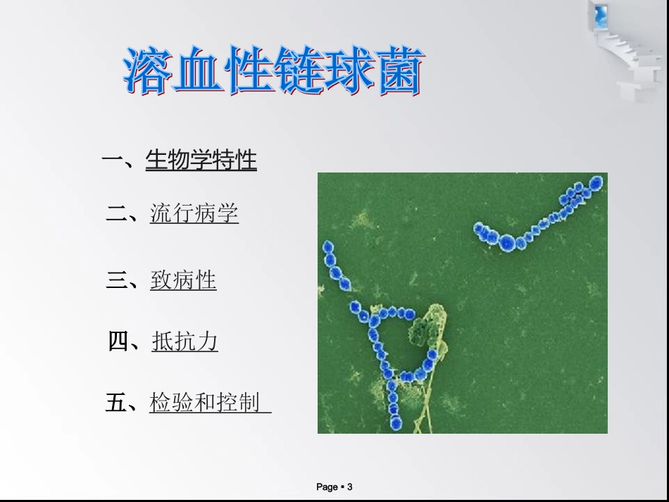 溶血性链球菌_第3页