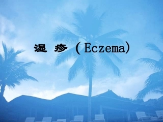 湿疹-ppt课件