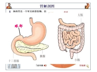溃疡、肠道易激综合征