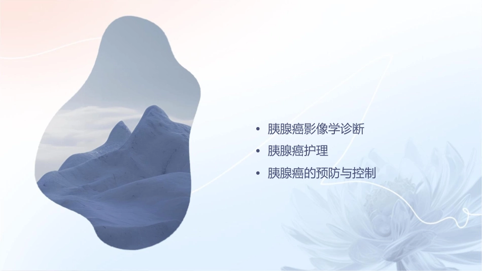 胰腺癌影像诊断护理课件_第2页