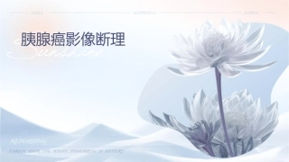 胰腺癌影像诊断护理课件