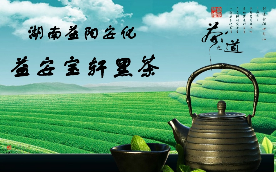 湖南益阳安化黑茶PPT_第1页
