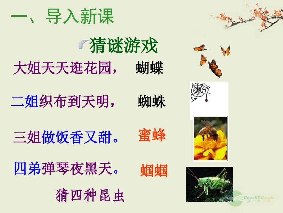 《绿色蝈蝈》公开课课件（57页）_第1页
